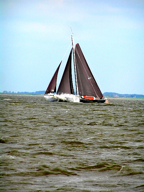 Lemsteraak_Ahoy2008 (2).jpg